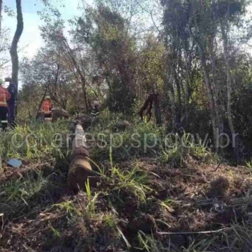 Duas pessoas morrem e duas ficam feridas em grave acidente na SP-127