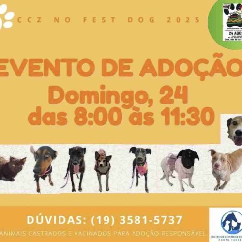 Zoonoses de Porto Ferreira estará presente em evento com animais para adoção responsável neste domingo