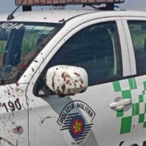 Operação PM Ambiental prende criador por tráfico de animais e adulteração de anilhas