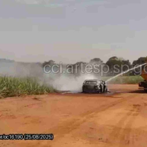 Corpo carbonizado é encontrado dentro de carro incendiado em canavial próximo à SP-326