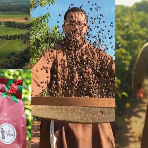 Semeando vidas: produção de café ecológico transforma realidade de dependentes químicos no interior de SP
