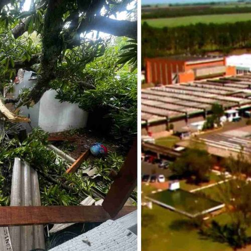 Bebê de 11 meses morre três dias após árvore cair sobre casa na Academia da Força Aérea