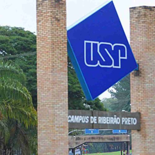 Morte de Sagui por “Febre Amarela” na USP de Ribeirão Preto acende ainal de alerta