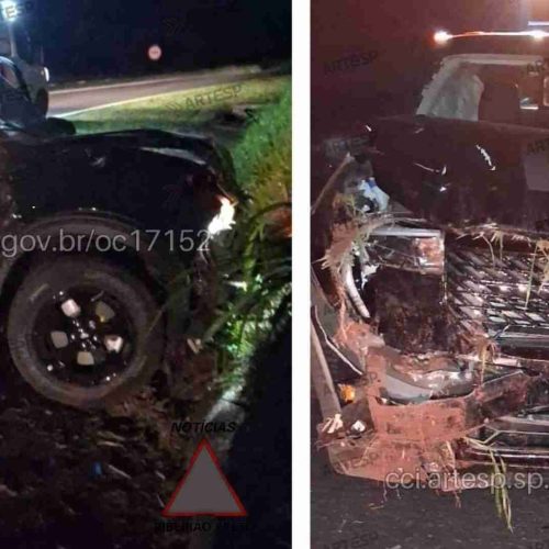 Motorista morre em grave acidente na SP 343
