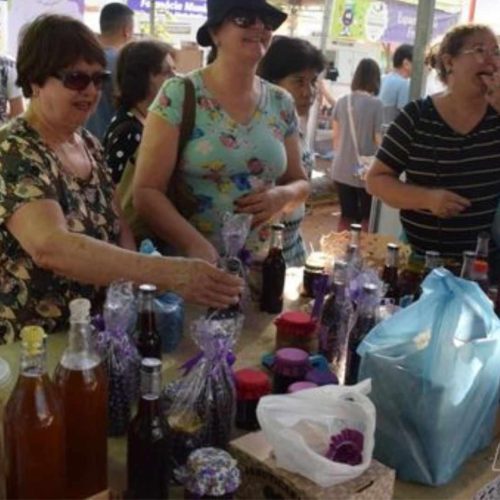 Casa Branca abre inscrições para expositores do 10º Festival Gastronômico da Jabuticaba