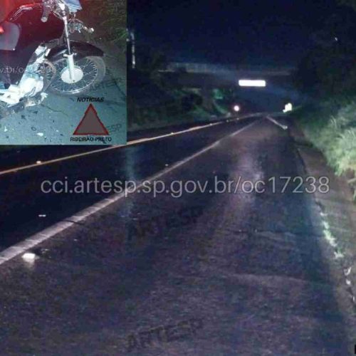 Motociclista morre ao colidir com cavalo solto na SP-352