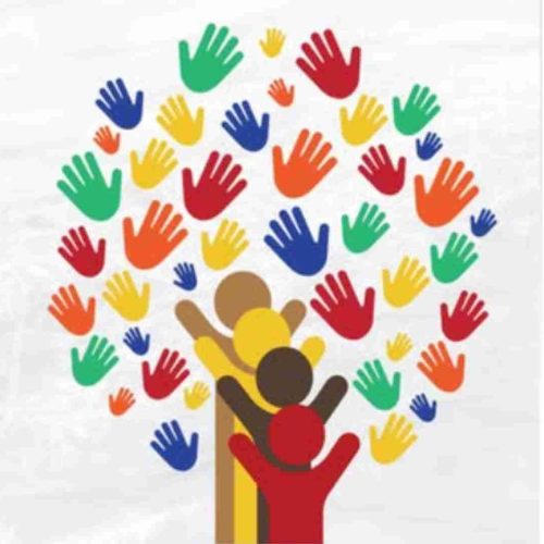 Governo Federal recua e abre brecha para segregação de alunos com deficiência intelectual, após lobby de instituições e parlamentares