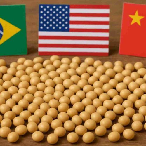 China firma megacontrato com Brasil e reduz a zero compra de soja dos EUA