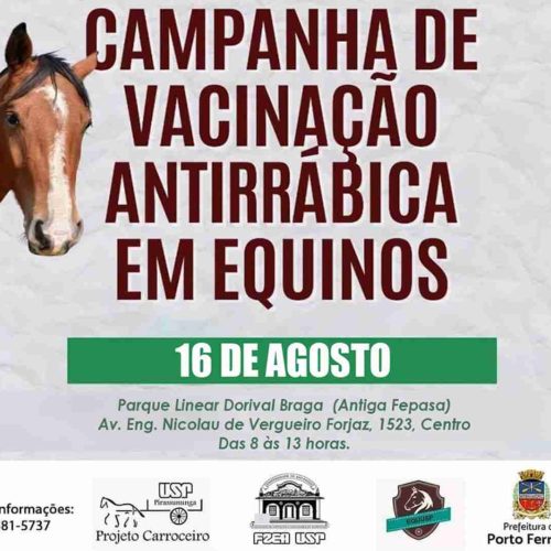 Zoonoses de Porto Ferreira realiza campanha anual de vacinação antirrábica de equinos