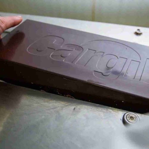 Cargill mira retomada do Brasil como potência cacaueira