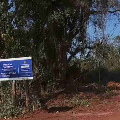 Manobras internas tentam abafar casos de corrupção na Secretaria de Agricultura de SP