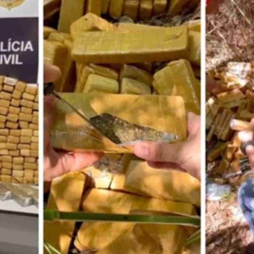 Polícia Civil apreende 301 tijolos de maconha em propriedade na zona rural da nossa região