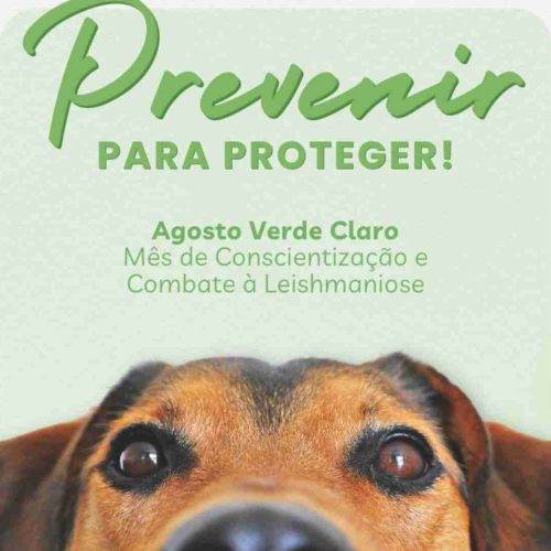 Porto Ferreira: “Agosto Verde-Claro” chama a atenção para conscientização e prevenção contra a leishmaniose