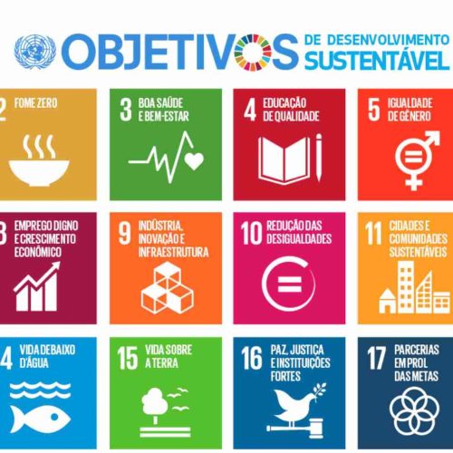 Agenda 2030: um importante Instrumento Base para uso na Gestão Pública Municipal