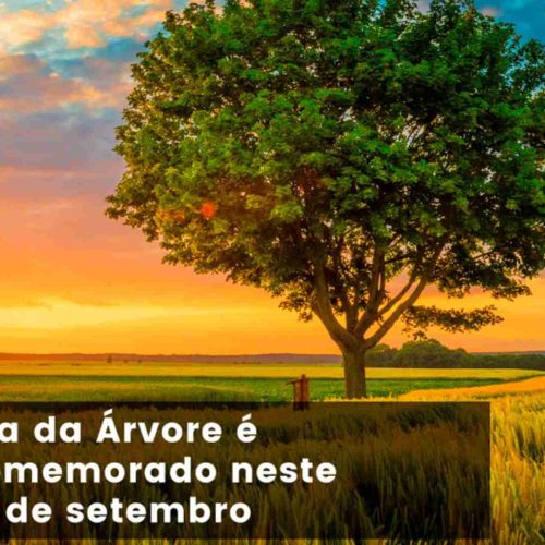 21 de setembro “Dia da Árvore”: BRK reforça a importância do saneamento para a biodiversidade
