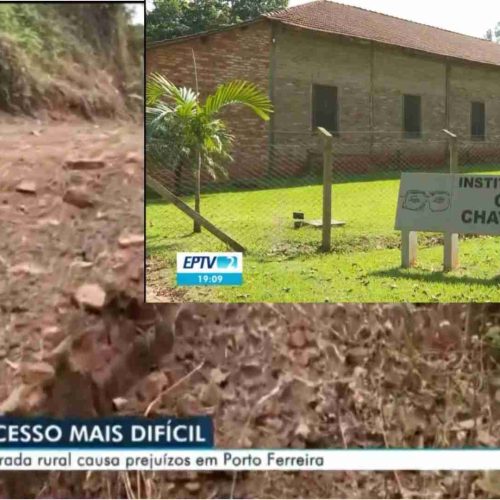 Como a incompetência municipal isola um dos maiores acervos de Arte do Mundo em Porto Ferreira
