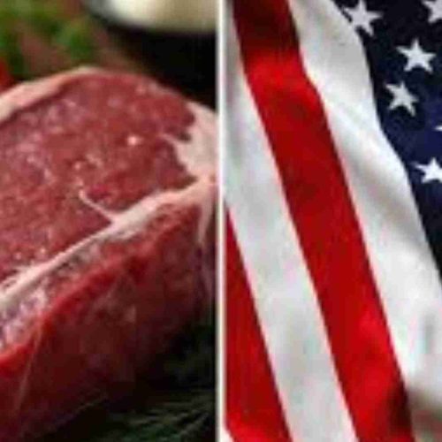 Tarifas de Trump barram exportações aos EUA e podem, a princípio, baratear a carne bovina no Brasil