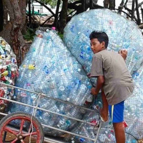 Prefeituras pagam contratos milionários para coleta de lixo convencional e cooperativas de reciclagem sobrevivem à míngua