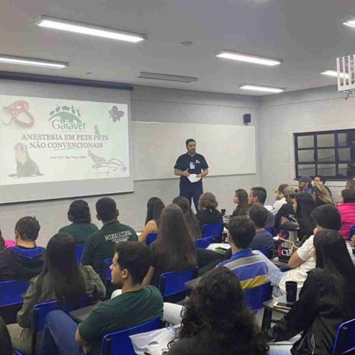 Universidade Brasil abre inscrições para o vestibular do segundo semestre de 2025