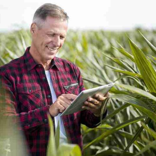 Abertas as inscrições para o programa de capacitação para líderes do agronegócio da Fundação Dom Cabral