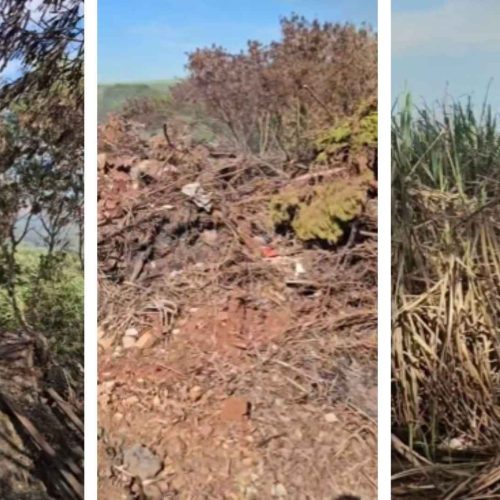 Brigadas de usinas controlam incêndio próximo e no canavial em Santa Cruz das Palmeiras