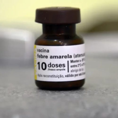 Ribeirão Preto inicia vacinação contra febre amarela no campus da USP