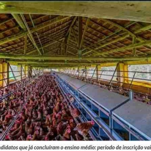 Escola Técnica Agropecuária abre inscrições para curso gratuito em Santa Rita do Passa Quatro
