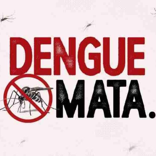 Dengue em Porto Ferreira: chegada “do frio” tende a diminuir a infestação, mas os riscos continuam