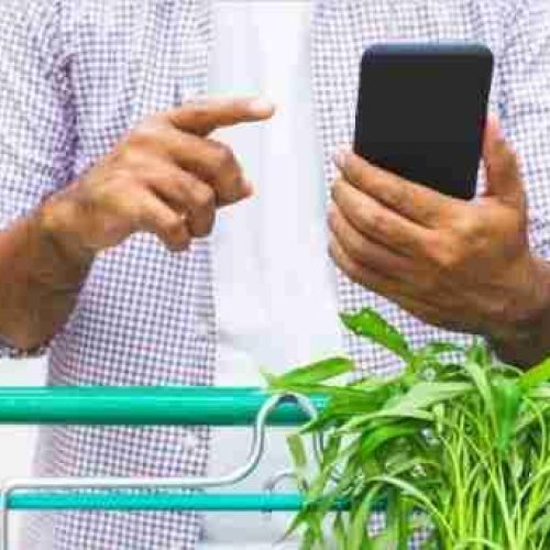 Brasileiro está cada vez mais conectado na hora de comprar — seja on-line ou em lojas físicas.