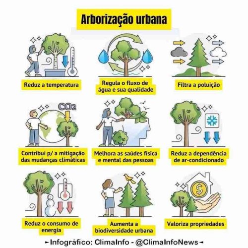 O verde que surpreende (e o que alerta): desafios da arborização urbana no estado de SP