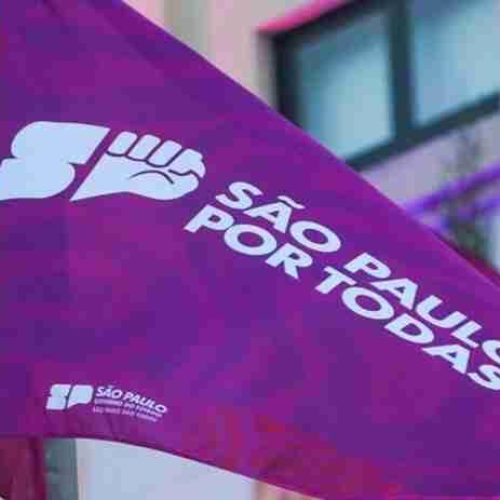 SP Mulher orienta municípios na implementação de políticas para a população feminina