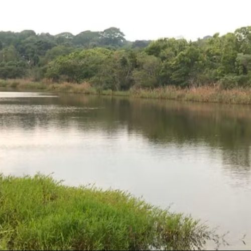 Homem desaparece em represa; bombeiros retomam buscas nesta quarta-feira