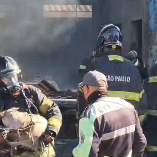 Queda de telhado pode ter sido decisiva para salvar cachorro durante incêndio em Franca