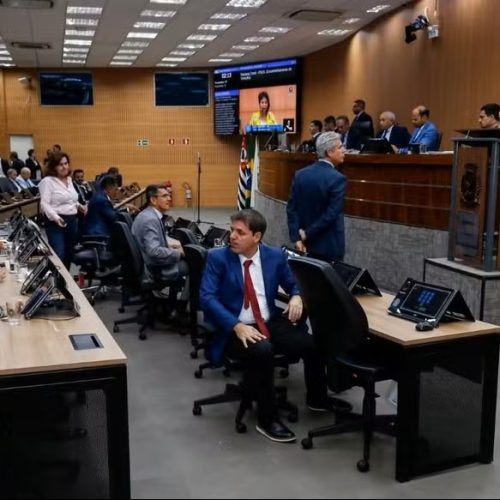 Câmara de Campinas pode aprovar multa de quase R$ 20 mil por confinamento de animais