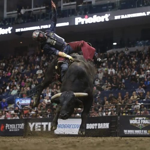 Brasil domina a elite do rodeio e coloca peões entre os melhores do mundo