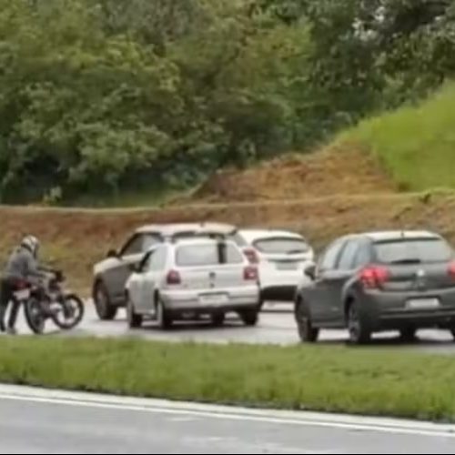 Árvore cai na SP-304, causa congestionamento e termina em atropelamento