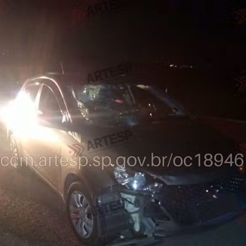 Pedestre morre após ser atropelado em rodovia do interior de SP