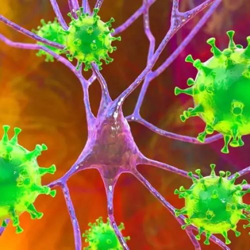 Vírus Nipah preocupa cientistas por risco de mutações