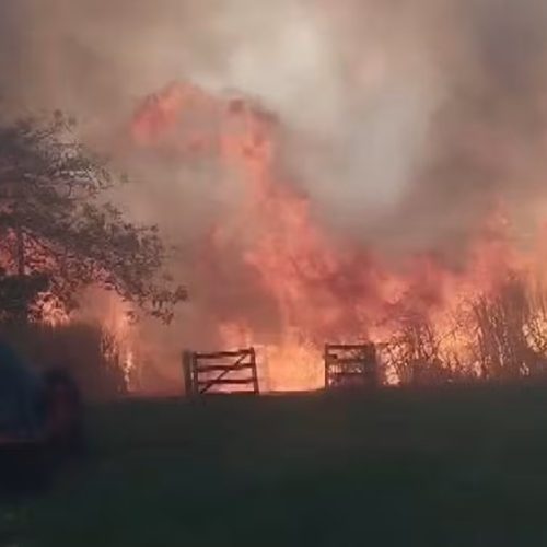 Incêndio em plantações assusta moradores e chega perto de casas em Ipuã (SP)