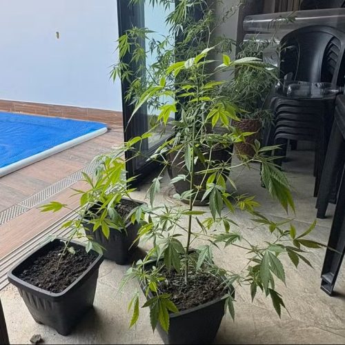 Operação contra o Comando Vermelho prende suspeito e descobre laboratório de drogas em Rio Claro (SP)